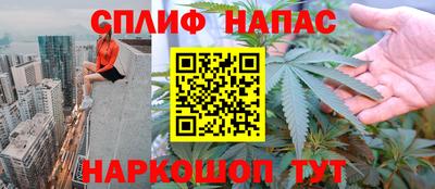 СК Абинск