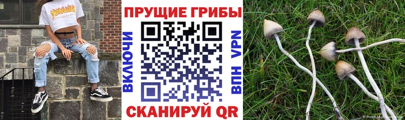 Псилоцибиновые грибы ЛСД  Челябинск 